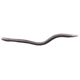 Bait Breath U30 Vein 3.8#723 Dover