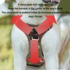 Pet Sports Harness Adjustable Dog Chest Harness Lightweight Breathable Dog