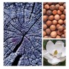 Aromas Para Difusores Profesionales A Base De Aceites 100ml Spa