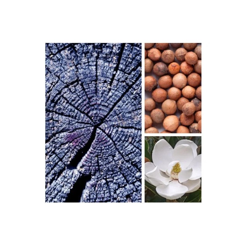 Aromas Para Difusores Profesionales A Base De Aceites 100ml Spa