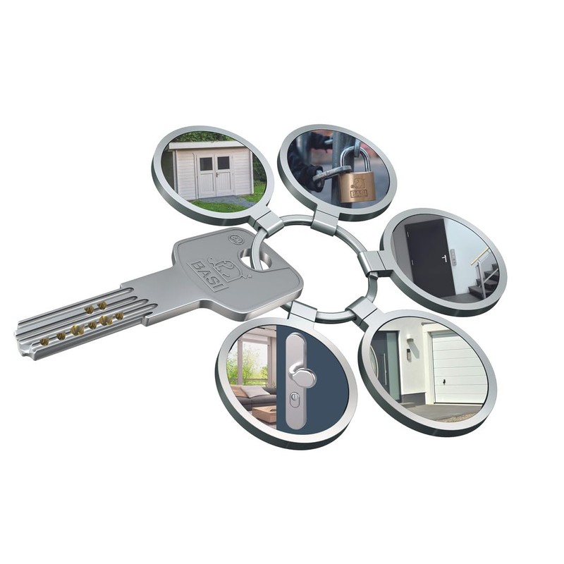 BASI BM Lock Cylinder, Keyed Alike and Freely Combinable, Many