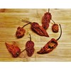 Dried Chilli Naga Bhut Jolokia Pods - Ghost Pepper- 50g