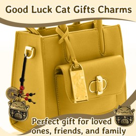 igvean Good Luck Gifts Charms Luck Cat Keychain Five Emperors Money Feng Shui Coins Lunar New Year Gift Chinese Coins for Good Luck
