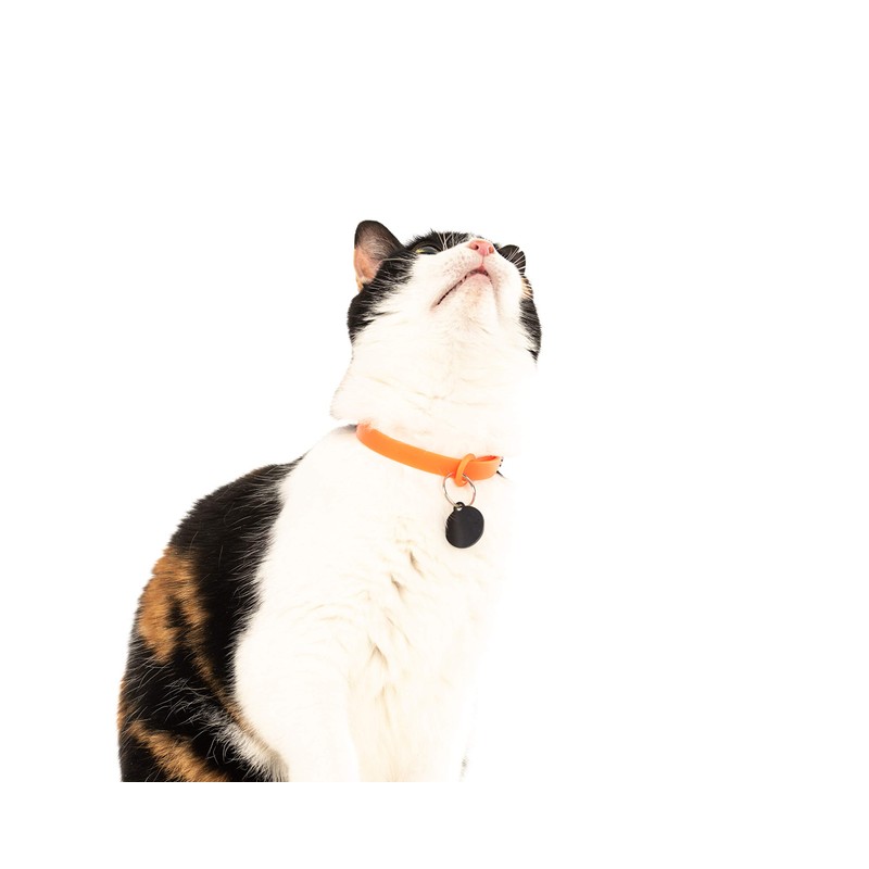 Nuvuq Comfortable, Soft and Light Cat Collar with Breakaway Snap