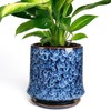 TOSELBAI 11 Inch Ceramic Planter Pot with Saucer Drainage Leak-Proof