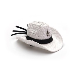 Carolina Designer Dragons' Bearded Dragon Cowboy Hat, White