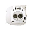 Jjing Assembled Cylinder Head Assembly Kit Compatible with Champion 270cc