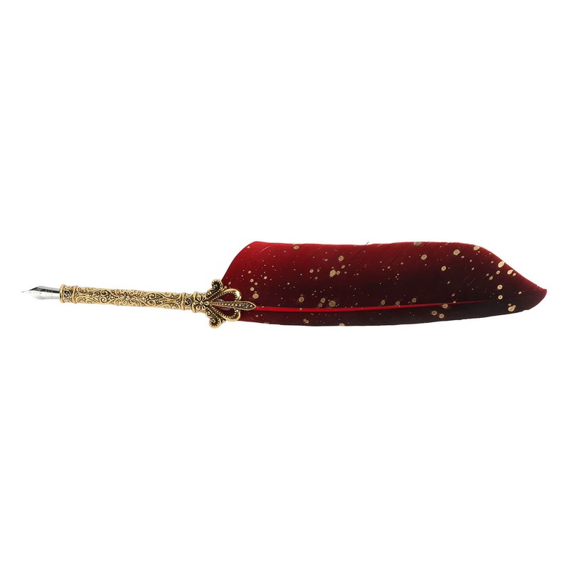 Quill Pen Set Exquisite Retro Smoothing Writing Feather Pen Caligraphy