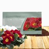Outsidepride Danova Cherry Edge Common Primrose Seeds - 25 Pcs