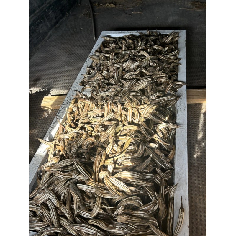Lot Of 12 Dried Okra Pods.