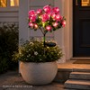 2-Pack Solar Azalea Flower Garden Lights, IP65 Waterproof Outdoor Decorative