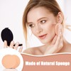 12 Pcs Makeup Sponges,Facial Sponges for Washing Face,Dry Wet Use