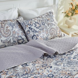 Gogreen Queen Comforter Set - 3 Piece Lightweight All Season Bedding Set, Breathable Comforter with 2 Pillow Cases, Cooling Bed in a Bag for Hot Sleepers, Paisley