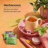 Yogi Tea - Green Tea Pure Green Decaf (6 Pack)