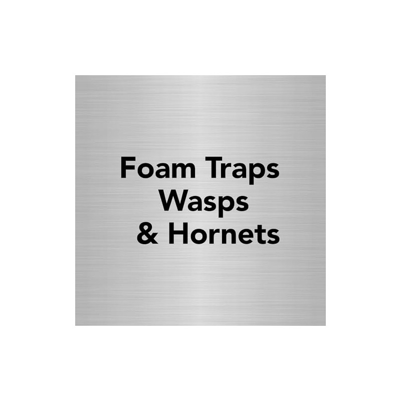 Raid Max Foaming Wasp & Hornet Killer, Fast Coverage Foam,