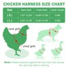 Adhafera Chicken Harness with Leash, Upgraded Double Adjustment Chicken Harness