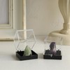 MAGICLULU 12pcs Rock Display Case Box Stones Storage Display Case