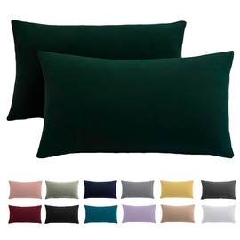 Cushion Cover 40 x 60 cm, Set of 2 - Pillowcases 40 x 60 cm, Green, for Pillows, 100% Microfibre Cushion Cover, Non-Iron and Wrinkle-Free with Zip
