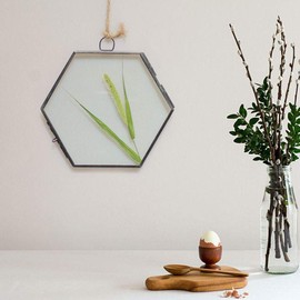 Joyzan Hanging Glass Photo Frame, Hexagon Wall Hanging Picture Artwork Display Frame Floating Hexagonal Picture Frame for Hanging Modern Hexagon Display Pressed Flowers Pictures Home Decoration