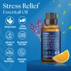 Stress Relief Essential Oil Blend 30 ml - Stress Relief