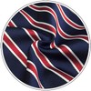 S&W SHLAX&WING Men's Striped Long Necktie, Blue, Red, Striped, Business,