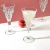 RCR Enigma Luxion Crystal White Wine Glasses, 270 ml, Set