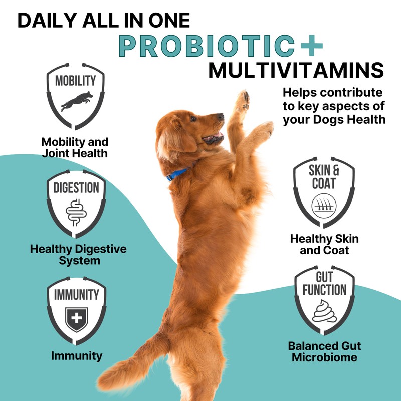 PETECTION for Dogs | Daily All-in-One Probiotic + Multivitamin Supplement