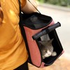 Cat Carrier Breathable Prevent Escape Portable Cat Travel Carrier for