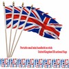 NJ & NJBW 20 Pack Small Mini UK British United