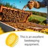 CHEOTIME 6 Pieces Queen Bee Cages, Queen Bee Catcher /