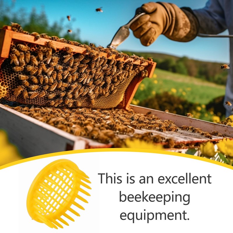 CHEOTIME 6 Pieces Queen Bee Cages, Queen Bee Catcher /
