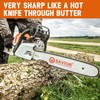 Savior 18 Inch Chainsaw Guide Bar and Chain Combo, 3/8"