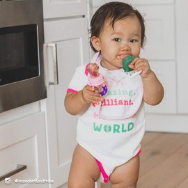 Ashtonbee Baby Fruit Feeder, Baby Food Feeder Pacifiers for Teething Relief, Teething Toys for Babies , 2 Pack