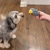 SPOT Butterballs Forest Animals Dog Toy-Soft, Stuffed, Squeaky, Plush Fabric