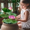 Aquatic Soil for Plants - 2.2LBS, Clay Aquarium Soil Suitable