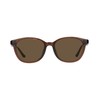 Zoff Wellington Sunglasses | Color Lenses, Lightweight, TR Material, Stylish,