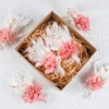 Larber 6pcs Mini Dried Flower Bouquets Boho Small Dried Flower