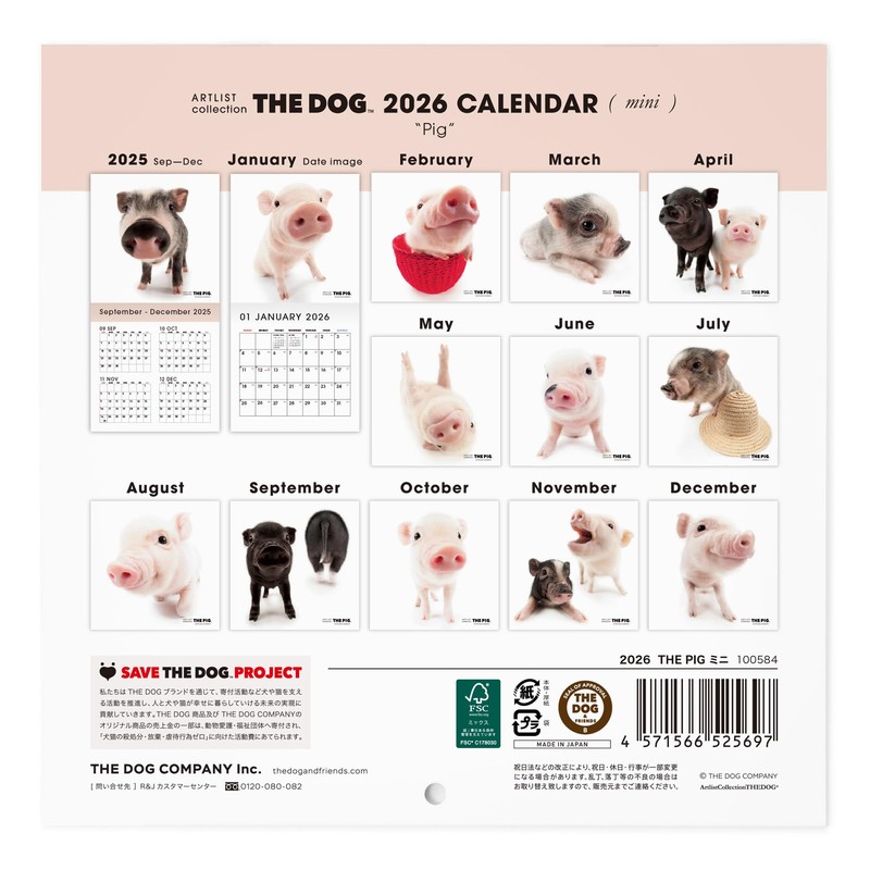 THE PIG 2026 Wall Calendar Mini Size (Pig)