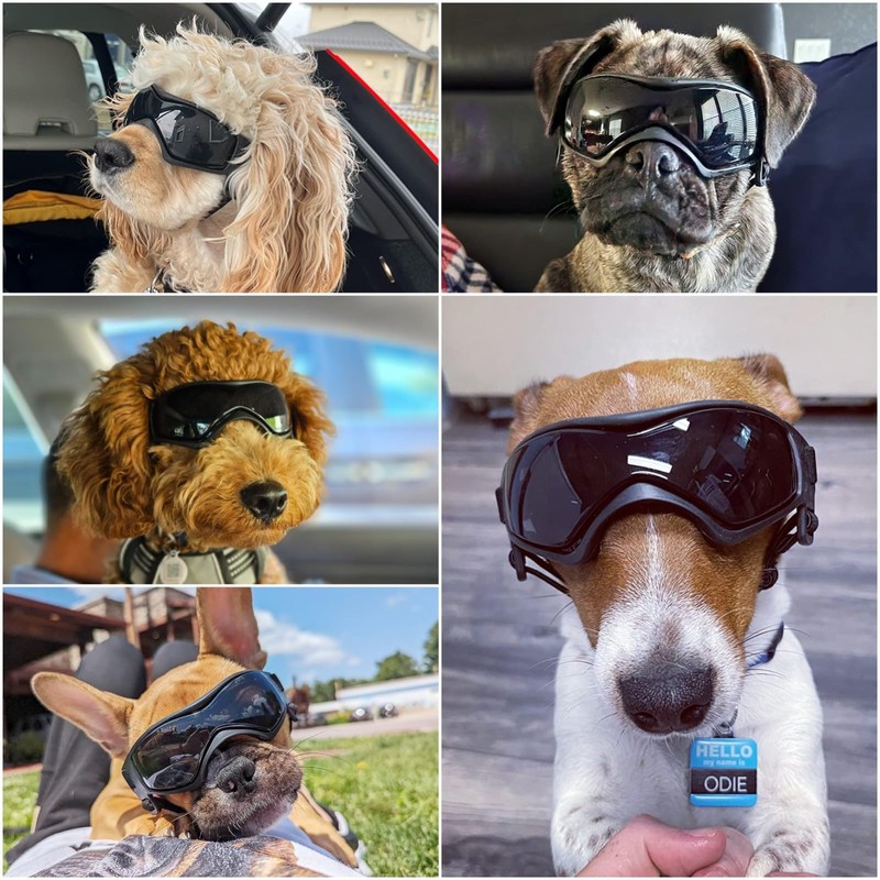 NAMSAN Dog Sunglasses Medium Breed, UV Protection Doggy Goggles Small