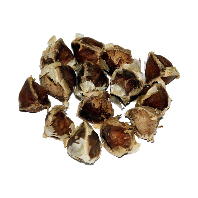 Moringa Oleifera Seeds (Semillas de Moringa) / Weights: 1 oz,