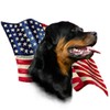 CafePress Rottweiler Flag Throw Blanket Super Soft Fleece Plush Throw