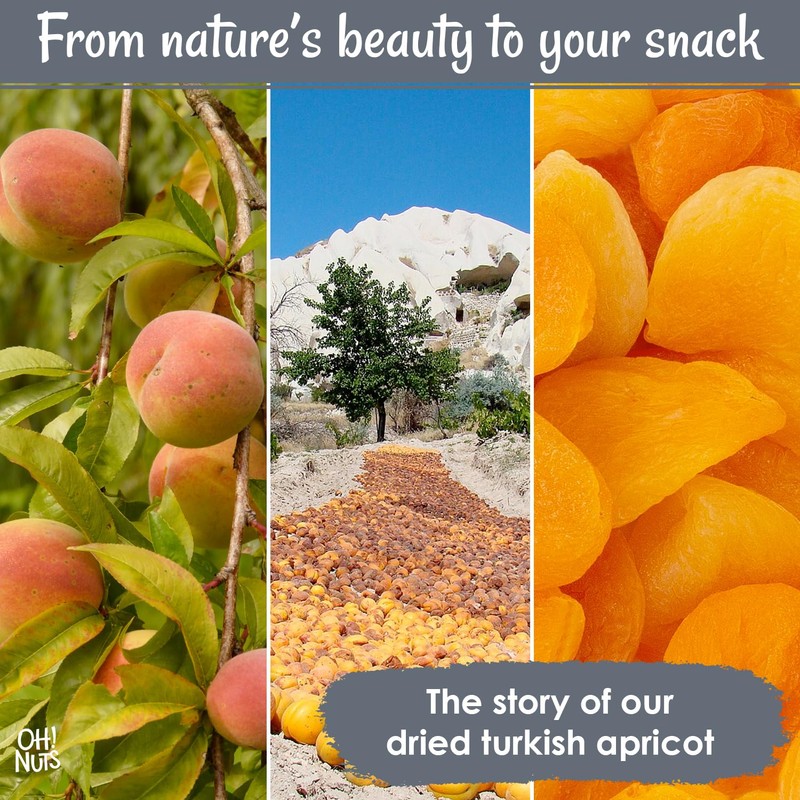 Oh! Nuts Dried Apricots Turkish - 2 lb - Dried