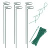 Plant Stake Support - 6 Pack, Garden Single Stem Support