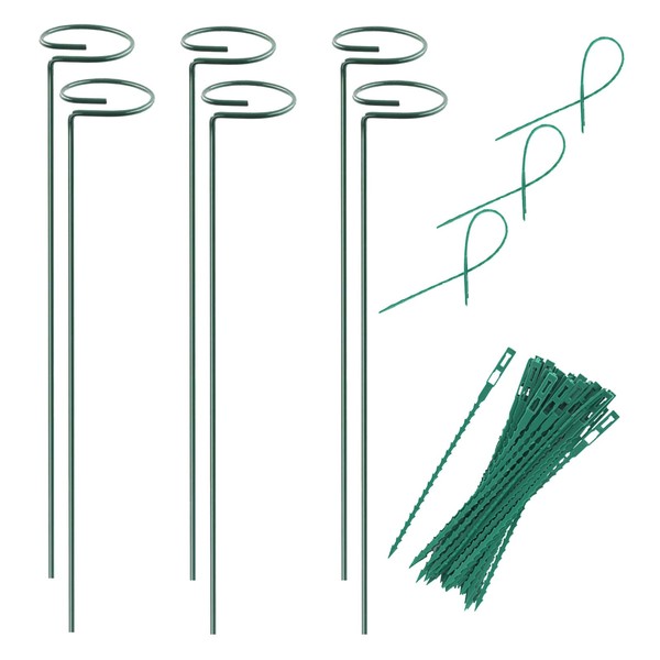 Plant Stake Support - 6 Pack, Garden Single Stem Support Stake Plant Cage Support Rings, Single Stem Plant Support Stakes, Plant Twist Ties, for Flowers Amaryllis Tomatoes Peony Lily Rose (15.9 inch)