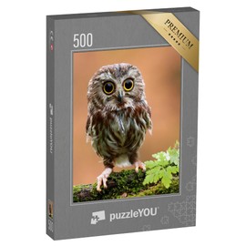 puzzleYOU: Puzzle 500 Piece "The Cute Lonely Owl Baby" - From the Puzzle Collection Birds, Owls, Exotic Animals & Trendy Animals