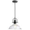 Zlepmlla Glass Pendant Light，Black Pendant Light Fixtures with Seeded Glass