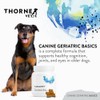 ThorneVET Canine Geriatric Basics – Senior Dog Multi-Vitamin/Mineral Formula Supports