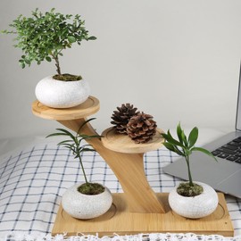 QruiLanTu Window Sill Plant Shelf，Desk Desktop Bamboo Plant Stand， Table Succulent Plant Stand for Home, Office, Living Room, Bedroom Decoration(2set)