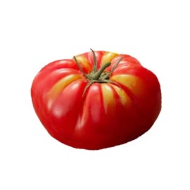 Abe Lincoln Heirloom Tomato - 10 Seeds -Non-GMO