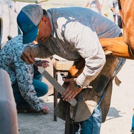 Uadme Carbon Steel Farrier File Tool,8 Inch Hoof Cutting Tools Hoof Rasp Horse Ergonomic Horse Hoof Trimming File,for Repairing Horses Goats and Pigs Hoofs